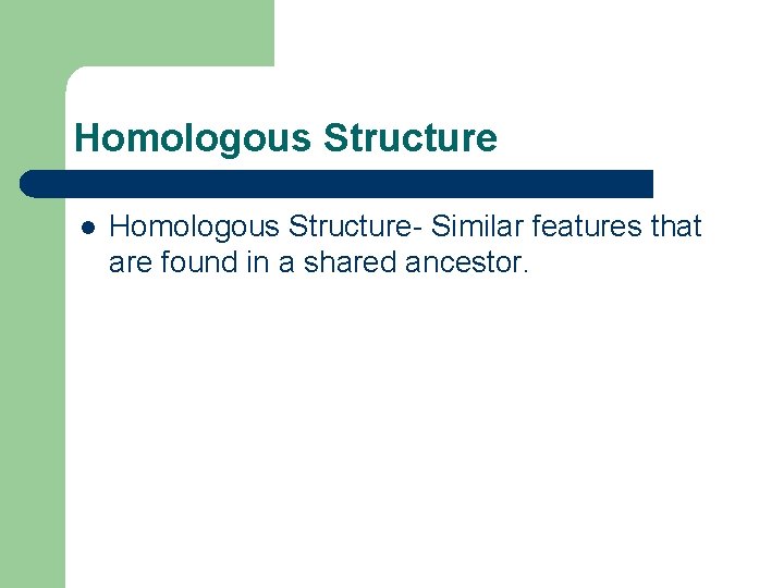 Homologous Structure l Homologous Structure- Similar features that are found in a shared ancestor.