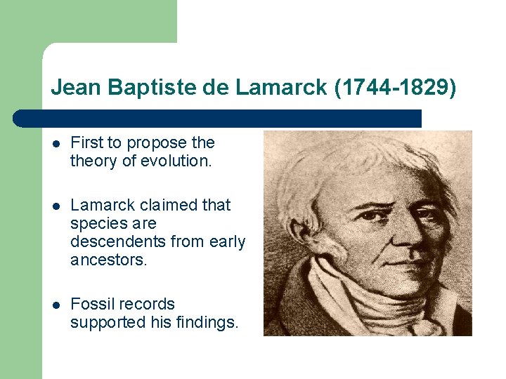 Jean Baptiste de Lamarck (1744 -1829) l First to propose theory of evolution. l