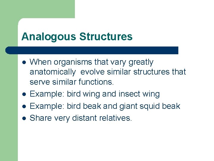 Analogous Structures l l When organisms that vary greatly anatomically evolve similar structures that