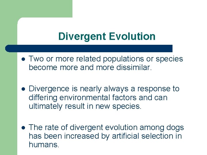 Divergent Evolution l Two or more related populations or species become more and more