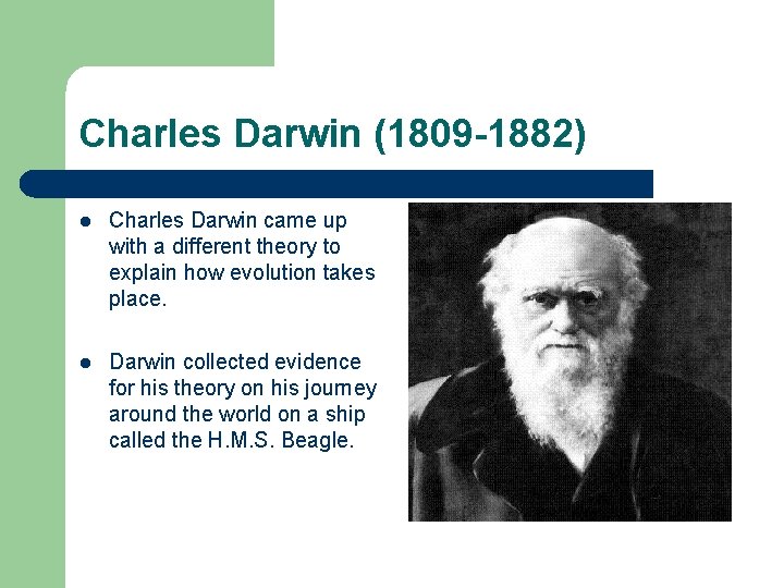 Charles Darwin (1809 -1882) l Charles Darwin came up with a different theory to