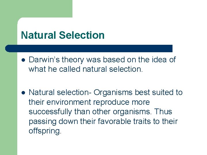 Natural Selection l Darwin’s theory was based on the idea of what he called