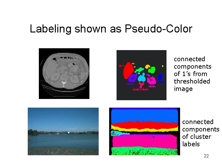 Labeling shown as Pseudo-Color connected components of 1’s from thresholded image connected components of