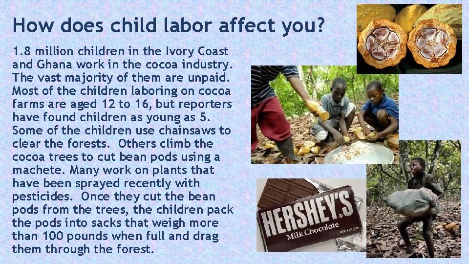 How does child labor affect you? 1. 8 million children in the Ivory Coast