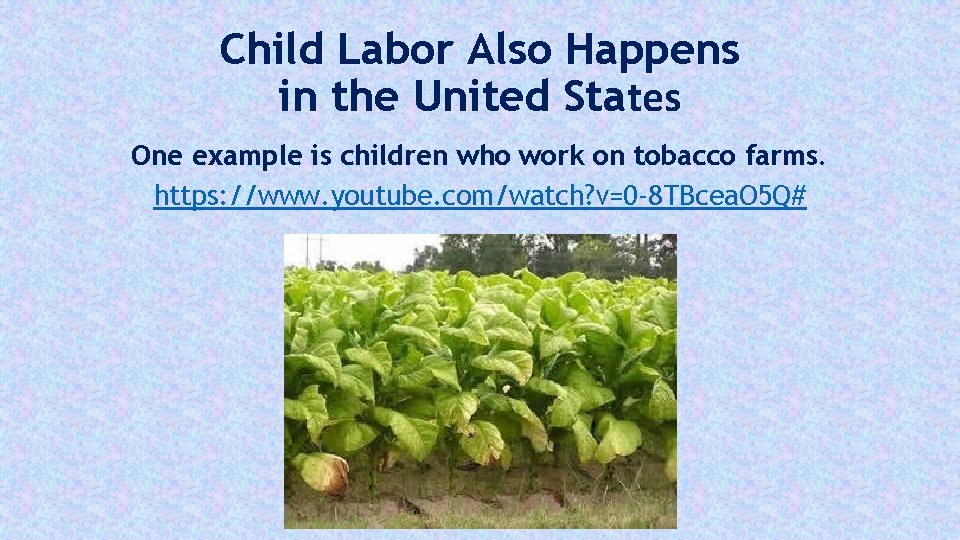 Child Labor Also Happens in the United States One example is children who work