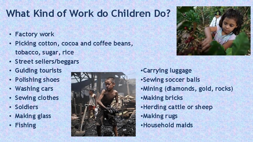 What Kind of Work do Children Do? • Factory work • Picking cotton, cocoa