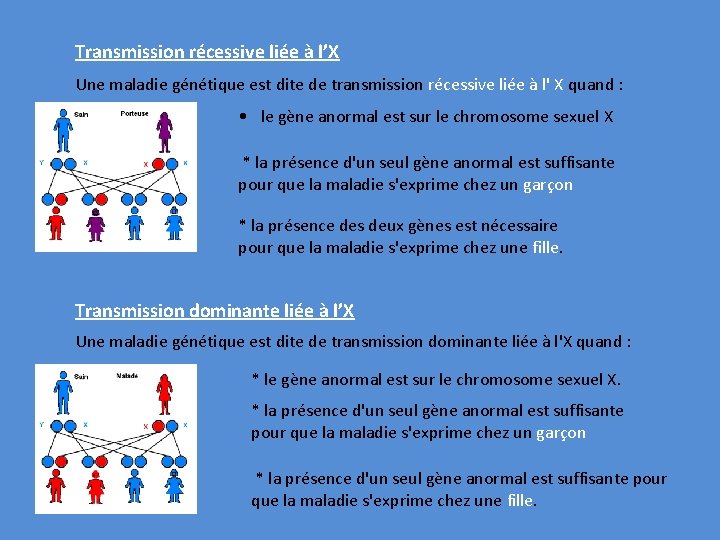 Transmission récessive liée à l’X Une maladie génétique est dite de transmission récessive liée