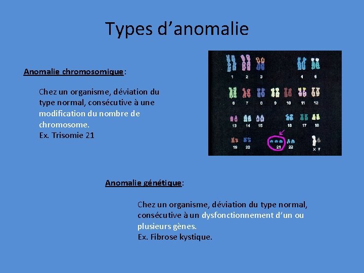 Types d’anomalie Anomalie chromosomique: Chez un organisme, déviation du type normal, consécutive à une