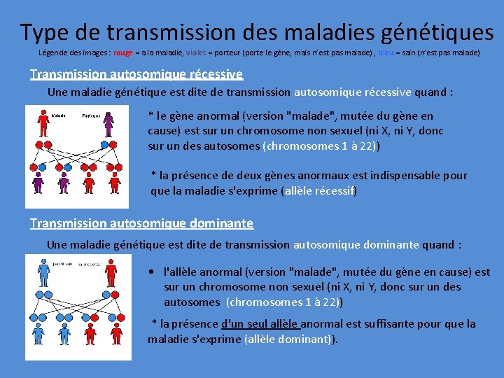 Type de transmission des maladies génétiques Légende des images : rouge = a la