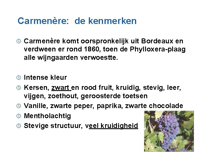 Carmenère: de kenmerken » Carmenère komt oorspronkelijk uit Bordeaux en verdween er rond 1860,