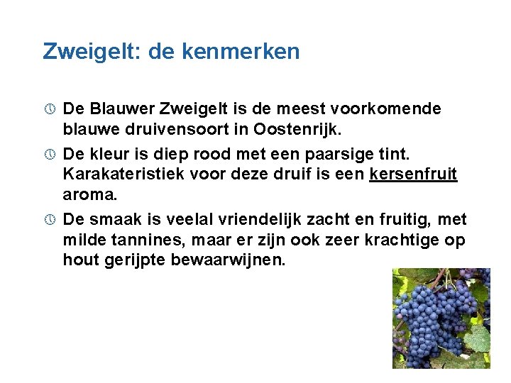 Zweigelt: de kenmerken De Blauwer Zweigelt is de meest voorkomende blauwe druivensoort in Oostenrijk.