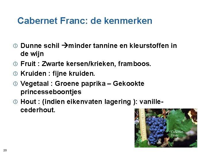 Cabernet Franc: de kenmerken » » » 20 Dunne schil minder tannine en kleurstoffen