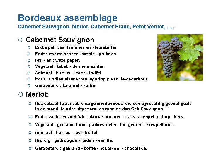 Bordeaux assemblage Cabernet Sauvignon, Merlot, Cabernet Franc, Petot Verdot, . . . » Cabernet