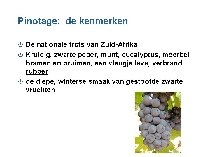 Pinotage: de kenmerken De nationale trots van Zuid-Afrika » Kruidig, zwarte peper, munt, eucalyptus,