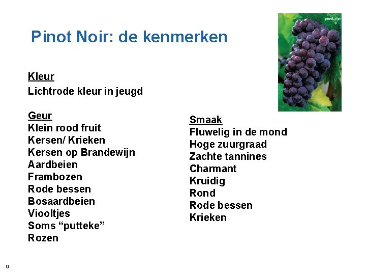 Pinot Noir: de kenmerken Kleur Lichtrode kleur in jeugd Geur Klein rood fruit Kersen/