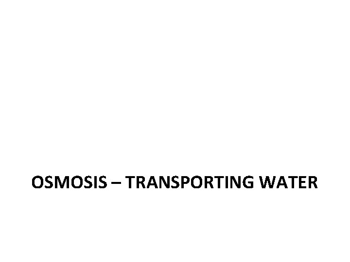 OSMOSIS – TRANSPORTING WATER 
