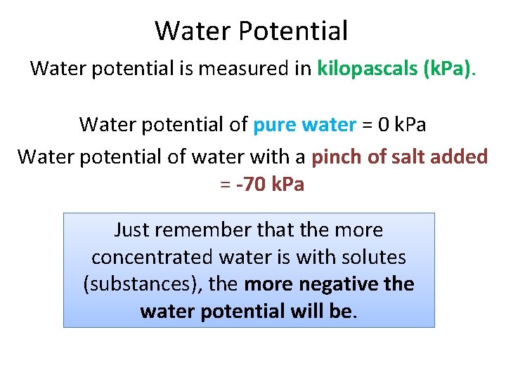 Water Potential Water potential is measured in kilopascals (k. Pa). Water potential of pure