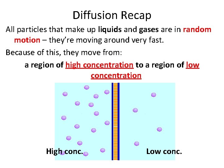 Diffusion Recap All particles that make up liquids and gases are in random motion