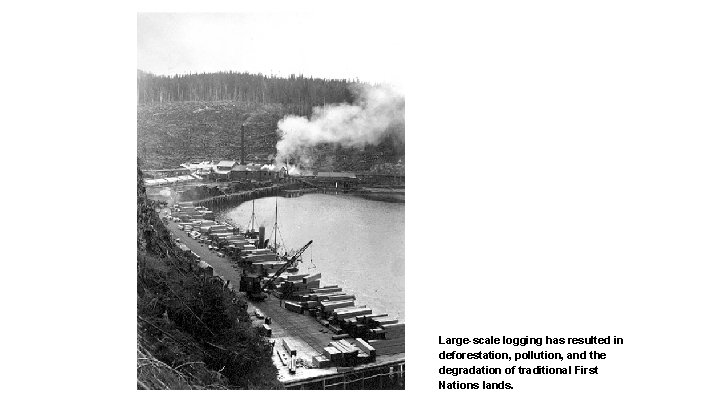 Large-scale logging has resulted in deforestation, pollution, and the degradation of traditional First Nations Large-scale logging has resulted in deforestation, pollution, and the degradation of traditional First Nations