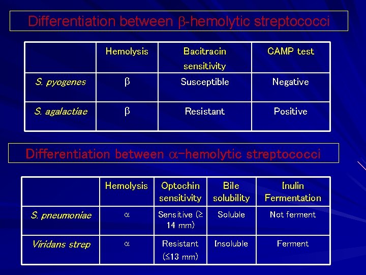 Differentiation between -hemolytic streptococci Hemolysis Bacitracin sensitivity CAMP test S. pyogenes Susceptible Negative S.