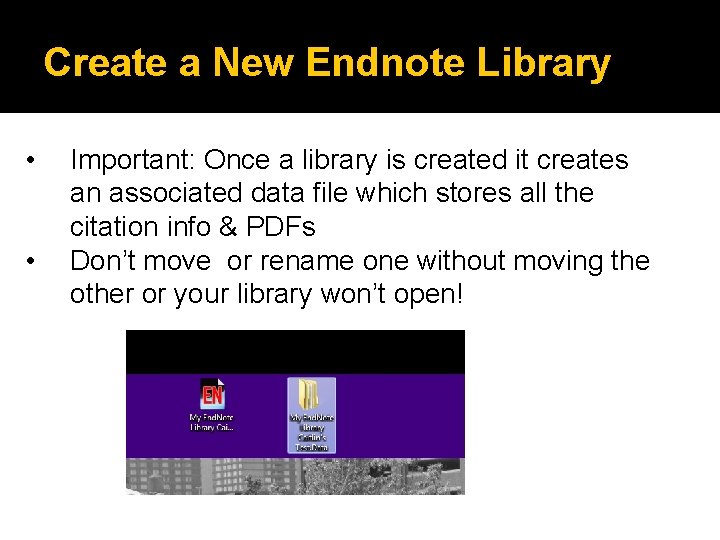 Create a New Endnote Library • • Important: Once a library is created it