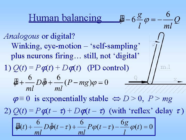 Human balancing Analogous or digital? Winking, eye-motion – ‘self-sampling’ plus neurons firing… still, not