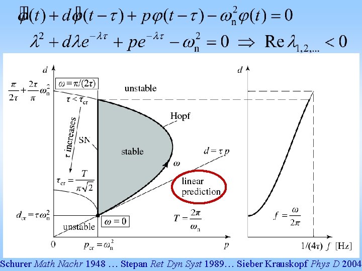 Schurer Math Nachr 1948 … Stepan Ret Dyn Syst 1989… Sieber Krauskopf Phys D