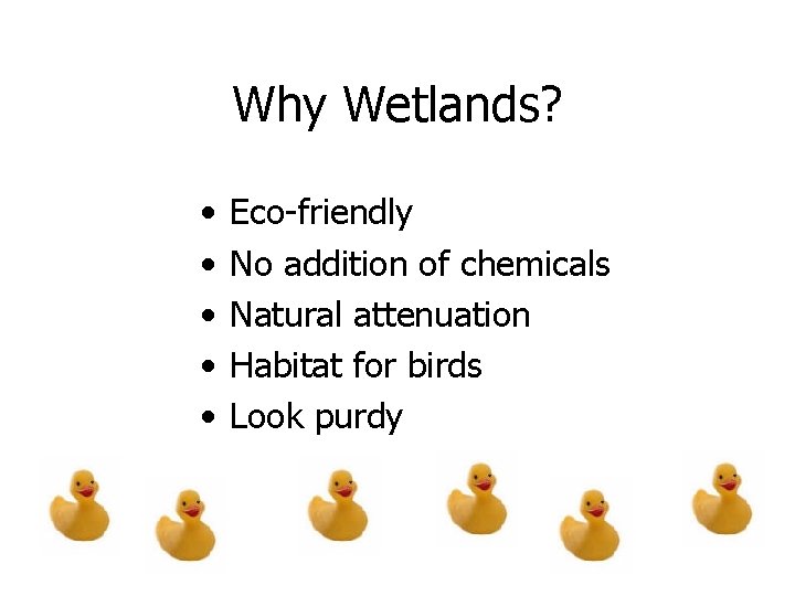 Why Wetlands? • • • Eco-friendly No addition of chemicals Natural attenuation Habitat for