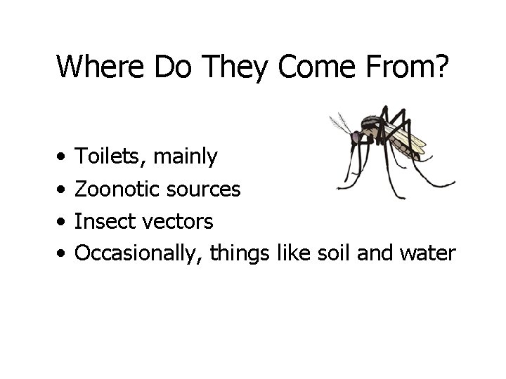 Where Do They Come From? • • Toilets, mainly Zoonotic sources Insect vectors Occasionally,