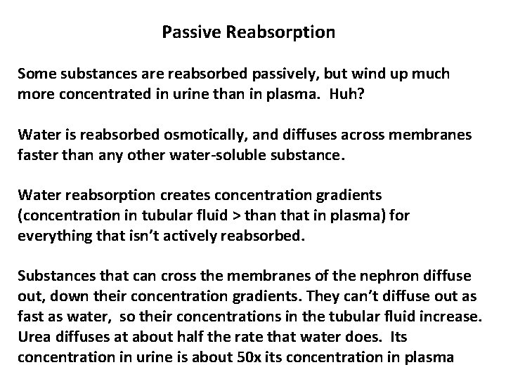 Passive Reabsorption Some substances are reabsorbed passively, but wind up much more concentrated in