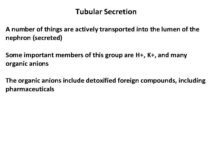 Tubular Secretion A number of things are actively transported into the lumen of the