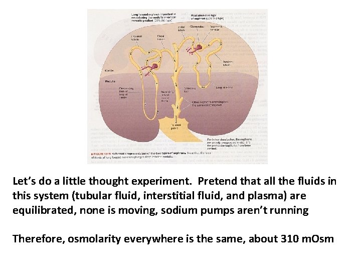 Let’s do a little thought experiment. Pretend that all the fluids in this system