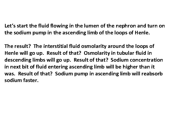 Let’s start the fluid flowing in the lumen of the nephron and turn on