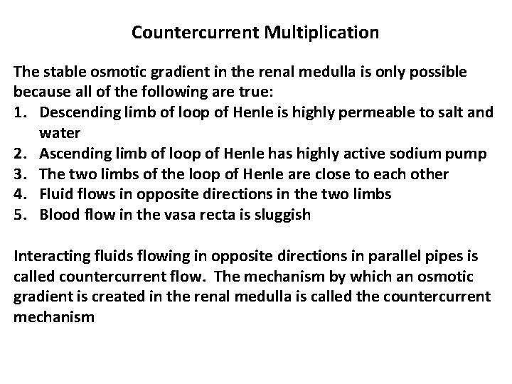 Countercurrent Multiplication The stable osmotic gradient in the renal medulla is only possible because