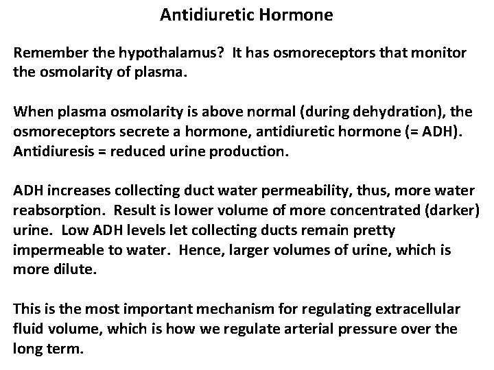 Antidiuretic Hormone Remember the hypothalamus? It has osmoreceptors that monitor the osmolarity of plasma.