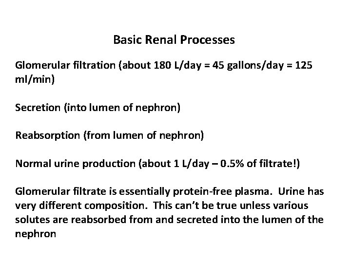 Basic Renal Processes Glomerular filtration (about 180 L/day = 45 gallons/day = 125 ml/min)