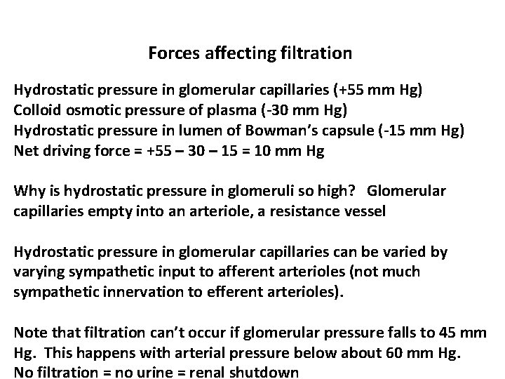 Forces affecting filtration Hydrostatic pressure in glomerular capillaries (+55 mm Hg) Colloid osmotic pressure