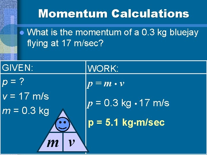 Momentum Calculations l What is the momentum of a 0. 3 kg bluejay flying
