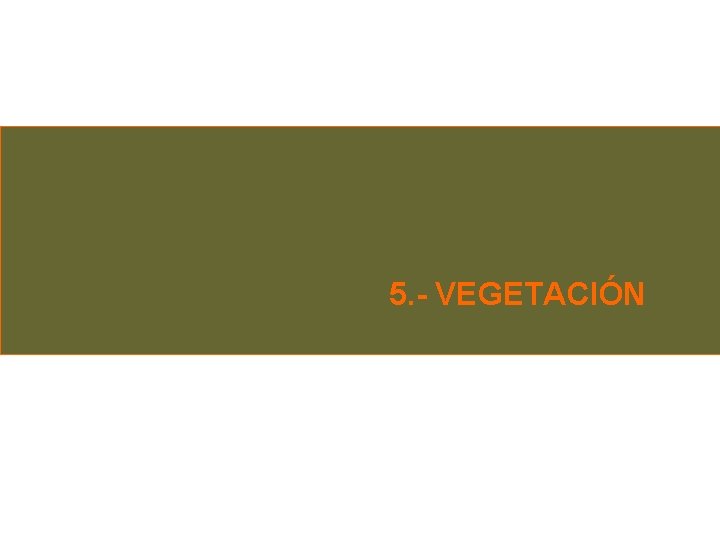 5. - VEGETACIÓN 