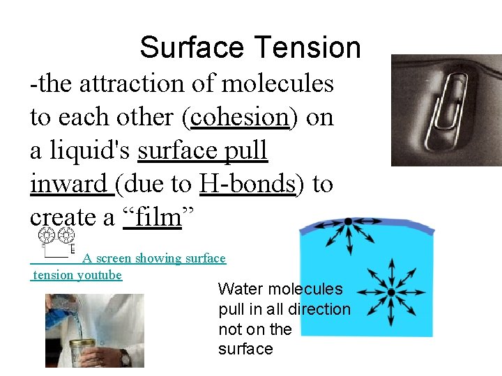 Surface Tension -the attraction of molecules to each other (cohesion) on a liquid's surface