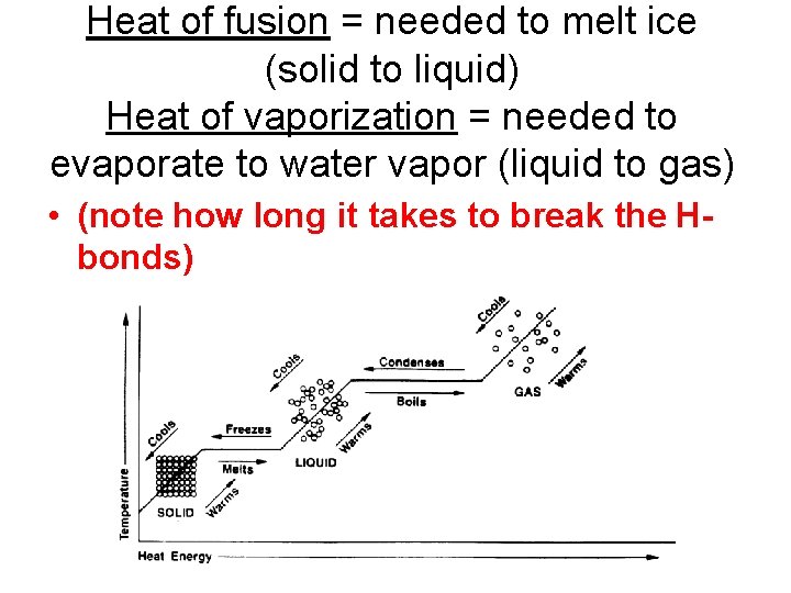 Heat of fusion = needed to melt ice (solid to liquid) Heat of vaporization