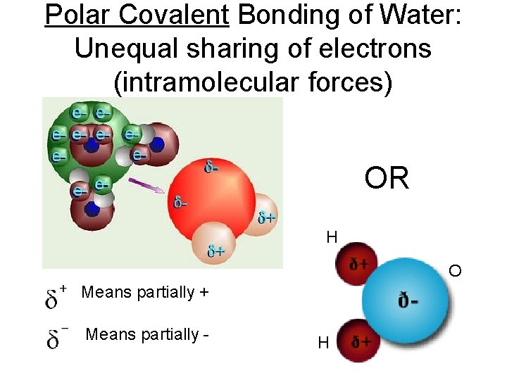 Polar Covalent Bonding of Water: Unequal sharing of electrons (intramolecular forces) OR H O