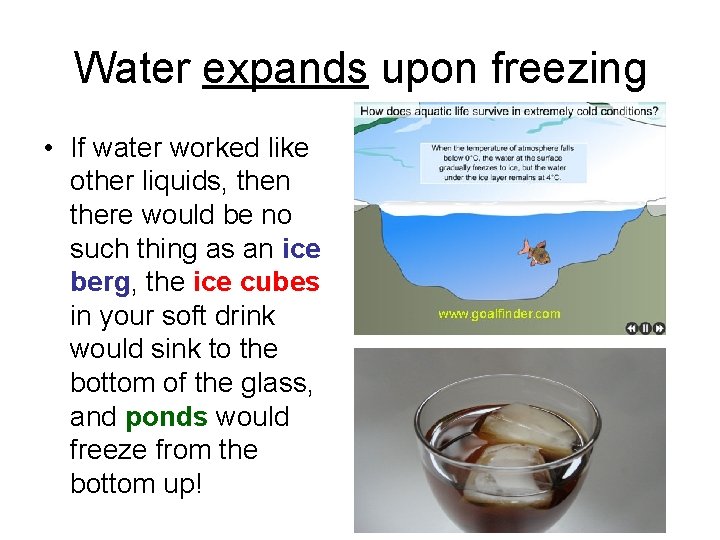 Water expands upon freezing • If water worked like other liquids, then there would