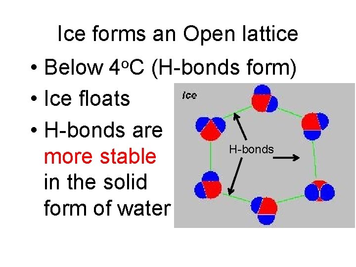 Ice forms an Open lattice • Below 4 o. C (H-bonds form) • Ice