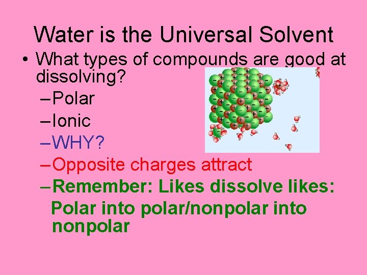 Water is the Universal Solvent • What types of compounds are good at dissolving?