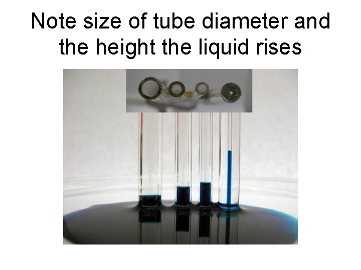 Note size of tube diameter and the height the liquid rises 