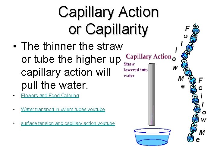 Capillary Action or Capillarity • The thinner the straw or tube the higher up