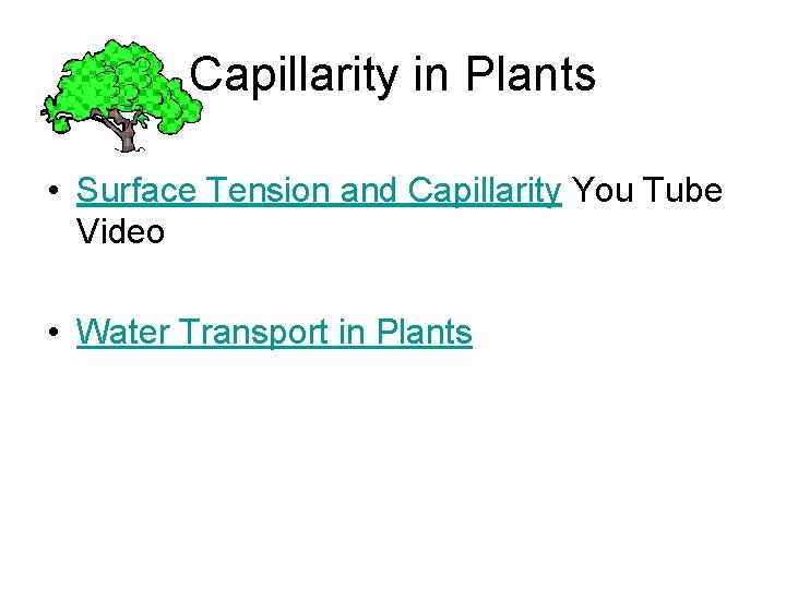 Capillarity in Plants • Surface Tension and Capillarity You Tube Video • Water Transport