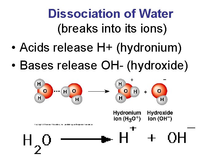Dissociation of Water (breaks into its ions) • Acids release H+ (hydronium) • Bases