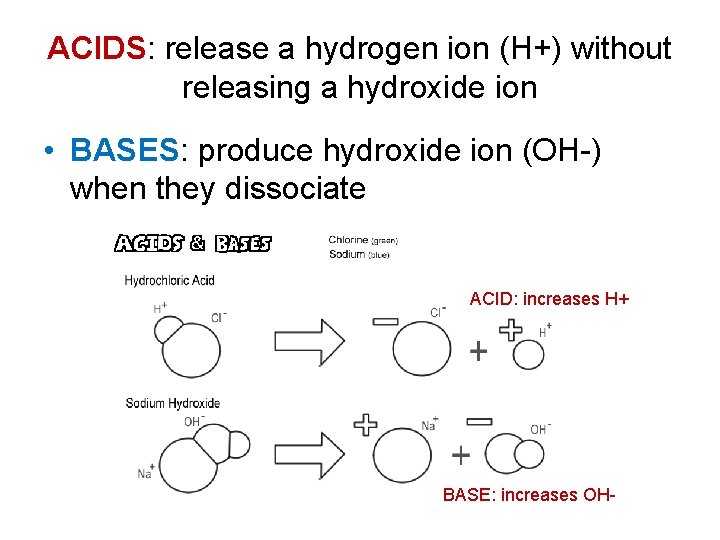 ACIDS: release a hydrogen ion (H+) without releasing a hydroxide ion • BASES: produce